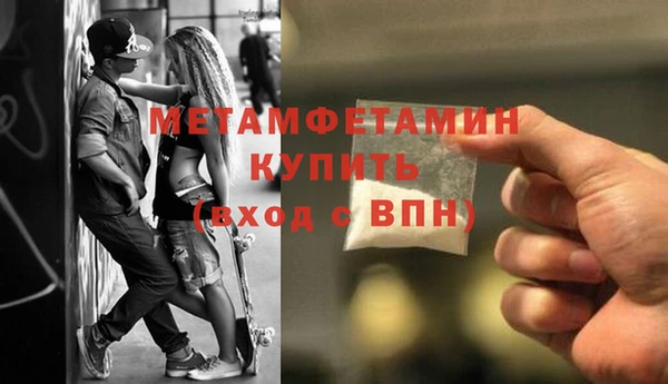 прущие грибы Тавда