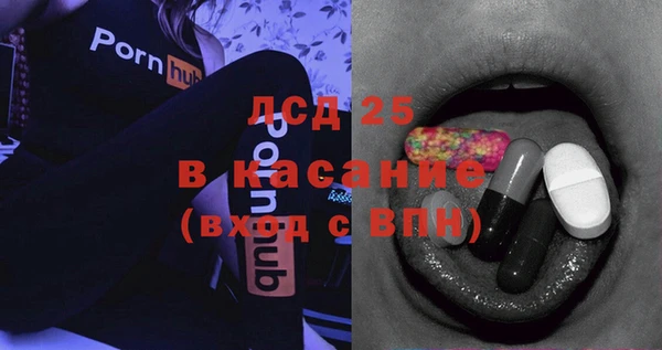 прущие грибы Тавда
