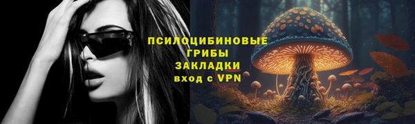 mdpv Тайга
