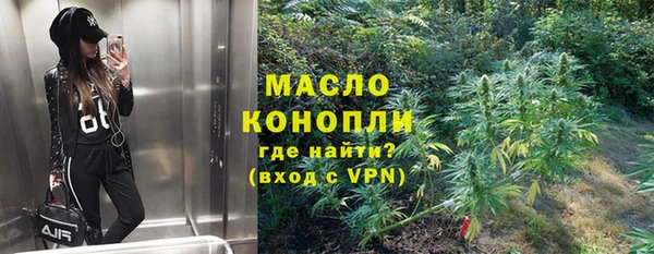 прущие грибы Тавда
