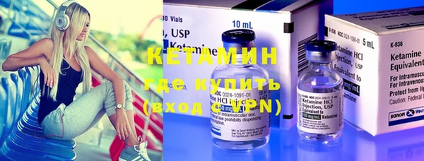 прущие грибы Тавда