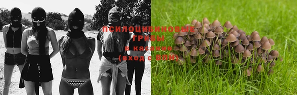 мескалин Богородицк